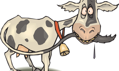 1. naprosto blbej kvíz