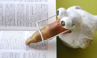 online kvízy zdarma chorvatština