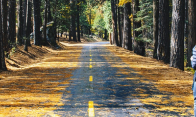 zdraví - chůze pro zdraví